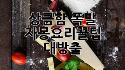 상큼함 폭발! 자몽요리🍊꿀팁 대방출