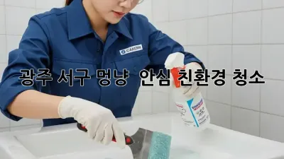 광주 서구 멍냥 🐾 안심 #친환경 청소 ✨