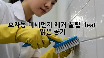 효자동 미세먼지 제거 꿀팁 🏡✨ (feat. 맑은 공기)