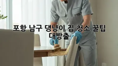 포항 남구 댕냥이 집 청소🧹✨ 꿀팁 대방출!